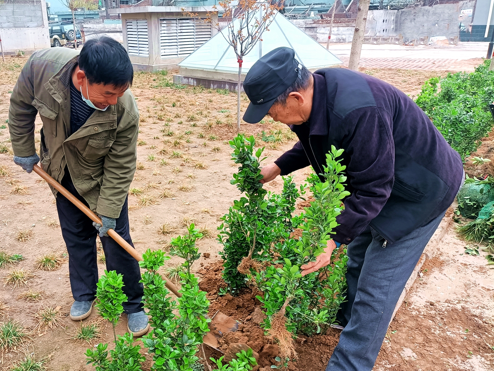 “綠色呼吁”——?？滴飿I(yè)植樹活動